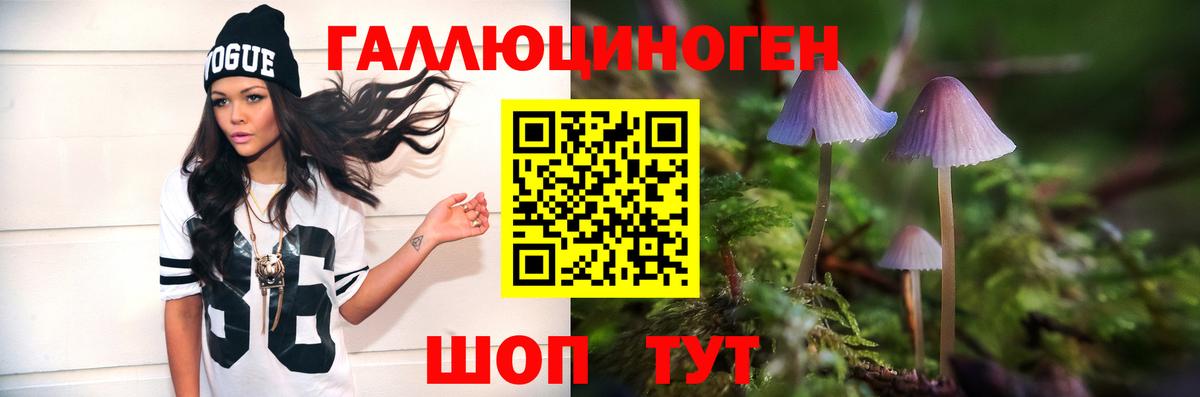 Новочеркасск  закладки  Вход с VPN  Псилоцибиновые грибы Cubensis 